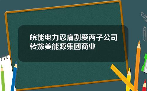 皖能电力忍痛割爱两子公司转嫁美能源集团商业