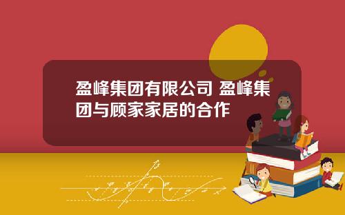 盈峰集团有限公司 盈峰集团与顾家家居的合作