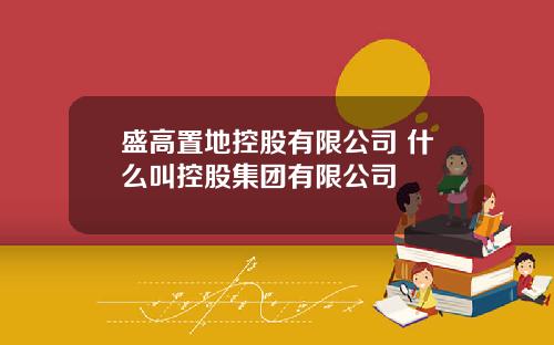 盛高置地控股有限公司 什么叫控股集团有限公司