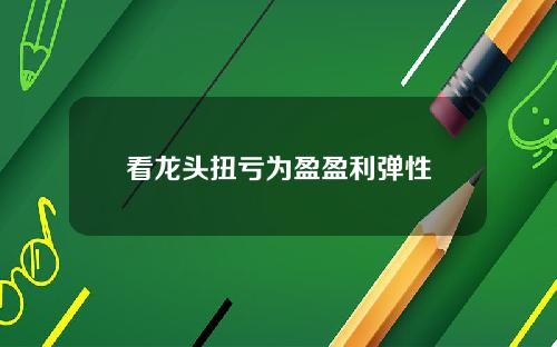 看龙头扭亏为盈盈利弹性