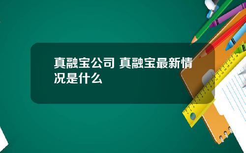 真融宝公司 真融宝最新情况是什么