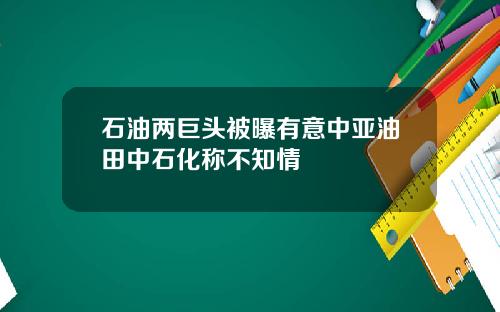 石油两巨头被曝有意中亚油田中石化称不知情