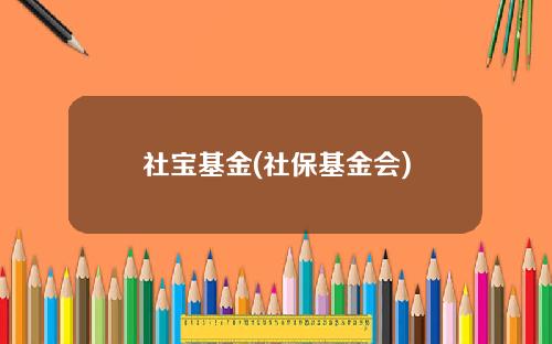 社宝基金(社保基金会)