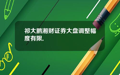 祁大鹏湘财证券大盘调整幅度有限.