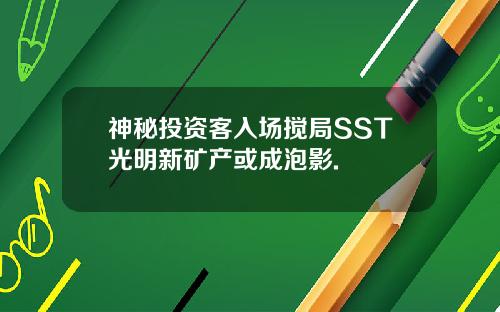 神秘投资客入场搅局SST光明新矿产或成泡影.