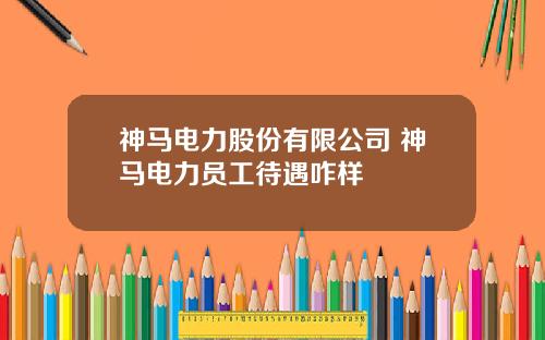 神马电力股份有限公司 神马电力员工待遇咋样