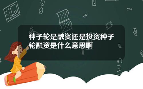 种子轮是融资还是投资种子轮融资是什么意思啊
