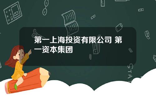第一上海投资有限公司 第一资本集团