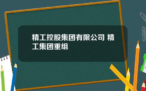 精工控股集团有限公司 精工集团重组