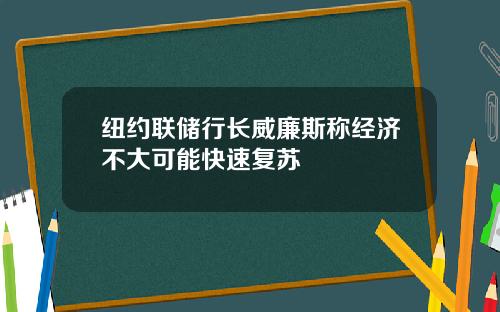 纽约联储行长威廉斯称经济不大可能快速复苏