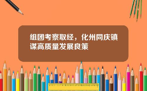 组团考察取经，化州同庆镇谋高质量发展良策