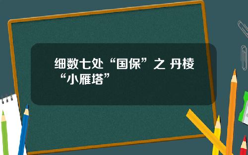 细数七处“国保”之 丹棱“小雁塔”