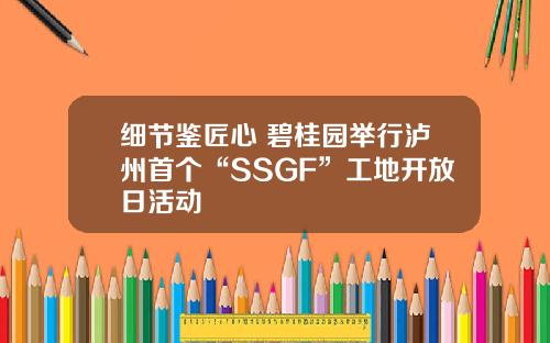 细节鉴匠心 碧桂园举行泸州首个“SSGF”工地开放日活动