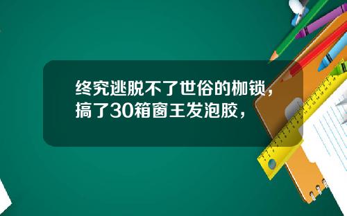 终究逃脱不了世俗的枷锁，搞了30箱窗王发泡胶，