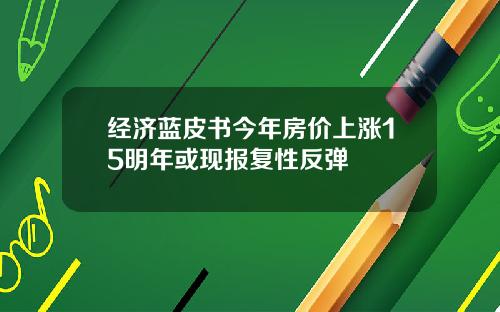 经济蓝皮书今年房价上涨15明年或现报复性反弹