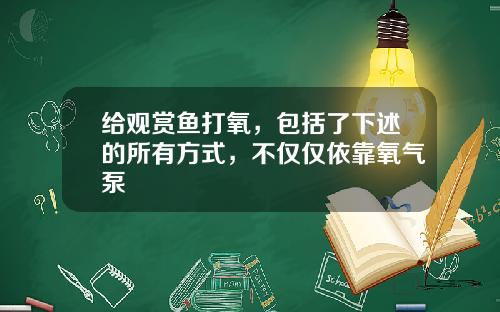 给观赏鱼打氧，包括了下述的所有方式，不仅仅依靠氧气泵