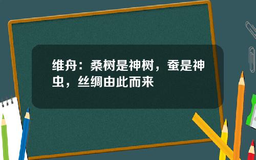 维舟：桑树是神树，蚕是神虫，丝绸由此而来