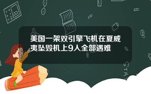 美国一架双引擎飞机在夏威夷坠毁机上9人全部遇难