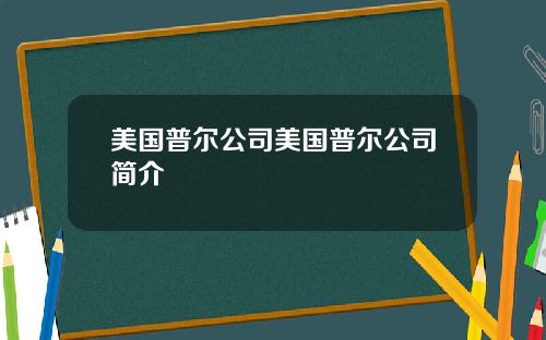 美国普尔公司美国普尔公司简介