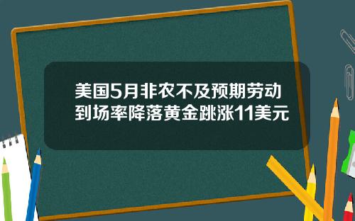 美国5月非农不及预期劳动到场率降落黄金跳涨11美元