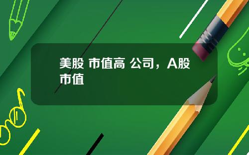 美股 市值高 公司，A股市值