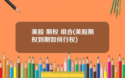 美股 期权 组合(美股期权到期如何行权)