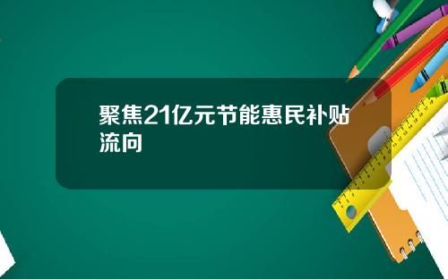 聚焦21亿元节能惠民补贴流向