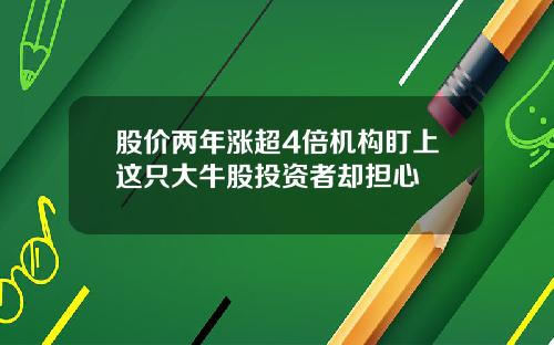 股价两年涨超4倍机构盯上这只大牛股投资者却担心