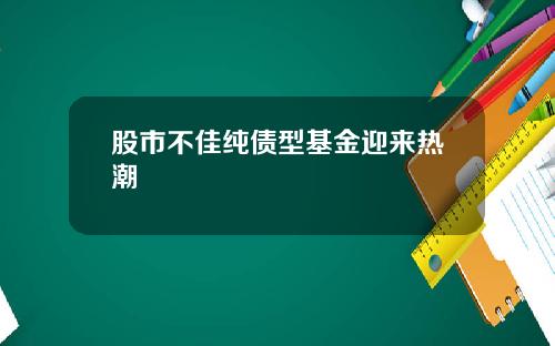 股市不佳纯债型基金迎来热潮