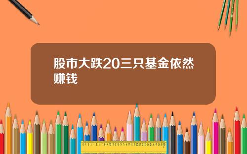 股市大跌20三只基金依然赚钱