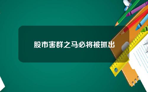 股市害群之马必将被抓出