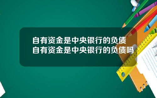 自有资金是中央银行的负债自有资金是中央银行的负债吗