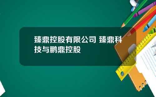 臻鼎控股有限公司 臻鼎科技与鹏鼎控股
