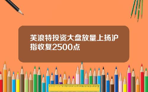 芙浪特投资大盘放量上扬沪指收复2500点