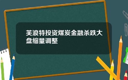 芙浪特投资煤炭金融杀跌大盘缩量调整