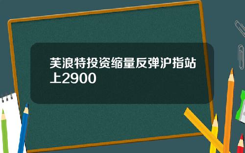 芙浪特投资缩量反弹沪指站上2900