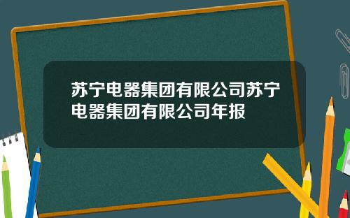 苏宁电器集团有限公司苏宁电器集团有限公司年报