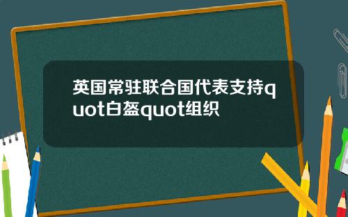 英国常驻联合国代表支持quot白盔quot组织