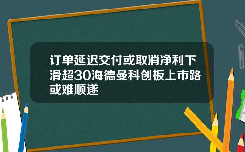 订单延迟交付或取消净利下滑超30海德曼科创板上市路或难顺遂
