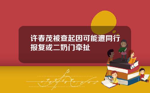 许春茂被查起因可能遭同行报复或二奶门牵扯