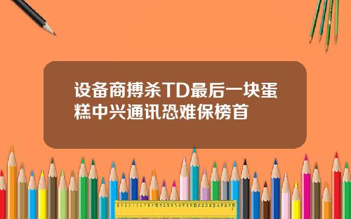 设备商搏杀TD最后一块蛋糕中兴通讯恐难保榜首