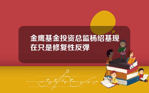 金鹰基金投资总监杨绍基现在只是修复性反弹