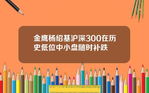 金鹰杨绍基沪深300在历史低位中小盘随时补跌