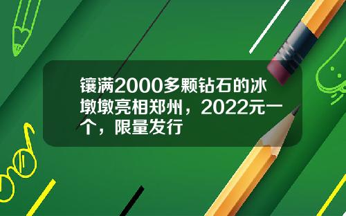 镶满2000多颗钻石的冰墩墩亮相郑州，2022元一个，限量发行