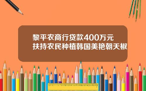 黎平农商行贷款400万元扶持农民种植韩国美艳朝天椒