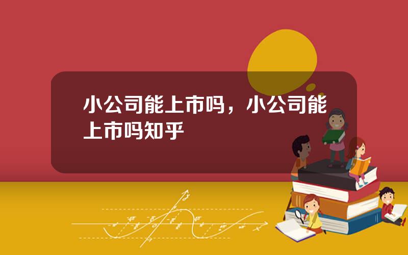 小公司能上市吗，小公司能上市吗知乎