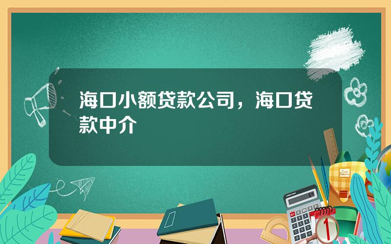 海口小额贷款公司，海口贷款中介