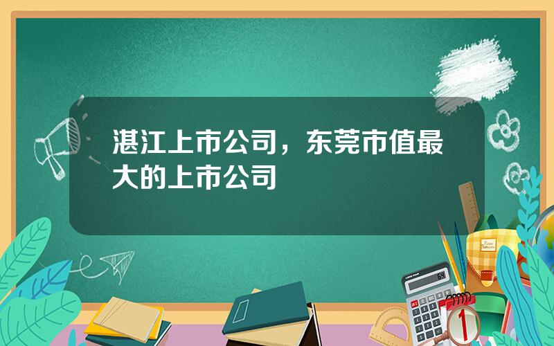 湛江上市公司，东莞市值最大的上市公司