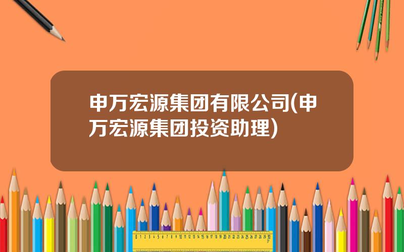 申万宏源集团有限公司(申万宏源集团投资助理)
