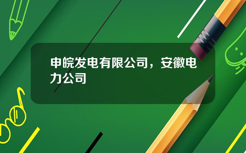 申皖发电有限公司，安徽电力公司